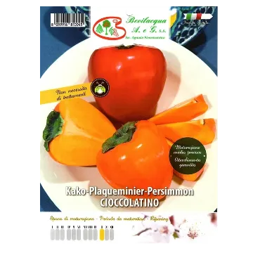 Sadika kakija CIOCCOLATINO Etiketa Sadika kakija CIOCCOLATINO