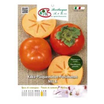 Sadika kakija MELA Etiketa Sadika kakija MELA