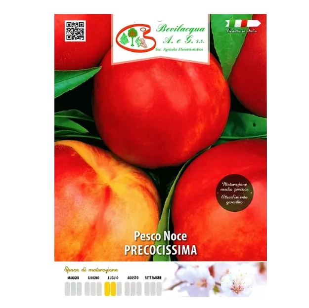Etiketa Sadika nektarine PRECOCISSIMA