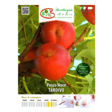 Sadika nektarine TARDIVO Etiketa Sadika nektarine TARDIVO