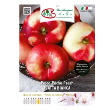 Sadika nektarine PIATTA BIANCA Etiketa Sadika nektarine PIATTA BIANCA