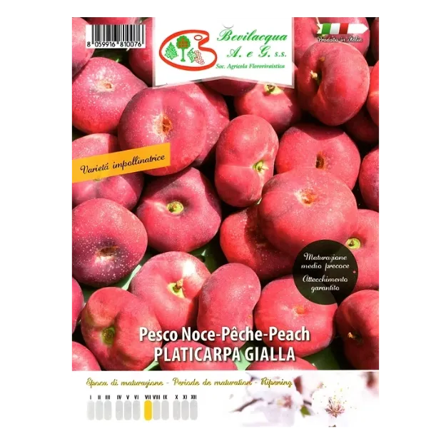 etiketa Sadika vinogradniške breskve PLATICARPA GIALLA