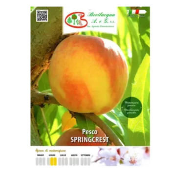 Sadika breskve SPRINCREST Etiketa Sadika breskve SPRINCREST