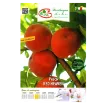 Etiteta Sadika breskve RED HEAVEN