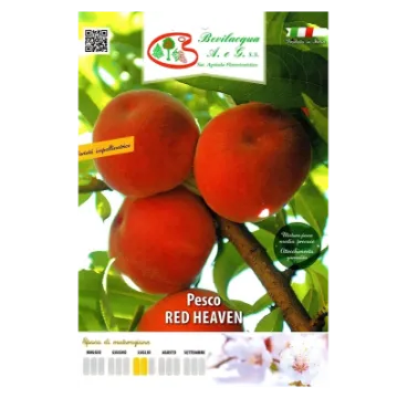 Sadika breskve RED HEAVEN Etiteta Sadika breskve RED HEAVEN