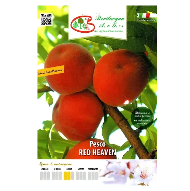 Etiteta Sadika breskve RED HEAVEN