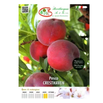 Sadika breskve CRESTHAVEN Etiketa Sadika breskve CRESTHAVEN