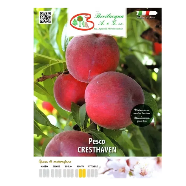 Etiketa Sadika breskve CRESTHAVEN