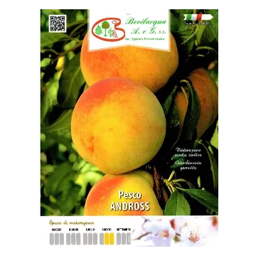 Sadika breskve Andross Etiketa Sadika breskve Andross