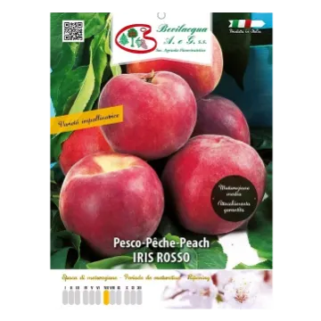 Sadika breskve IRIS ROSSO Etiketa Sadika breskve IRIS ROSSO