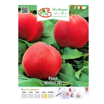 Sadika breskve MICHELINI Etiketa Sadika breskve MICHELINI