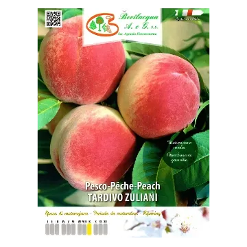 Sadika breskve TARDIVO ZULIANI Etiketa Sadika breskve TARDIVO ZULIANI