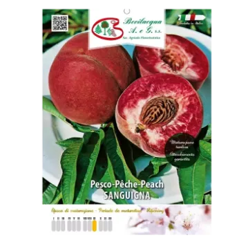 Sadika breskve Sanguigna etiketa Sadika breskve Sanguigna