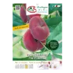 Etiketa Sadika vinogradniške breskve Piatta Bianca