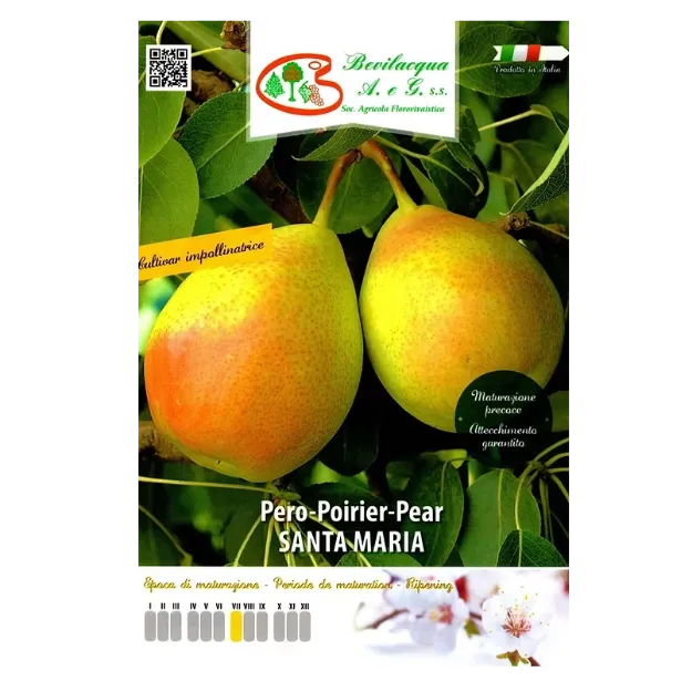 Etiketa Sadika hruške SANTA MARIA