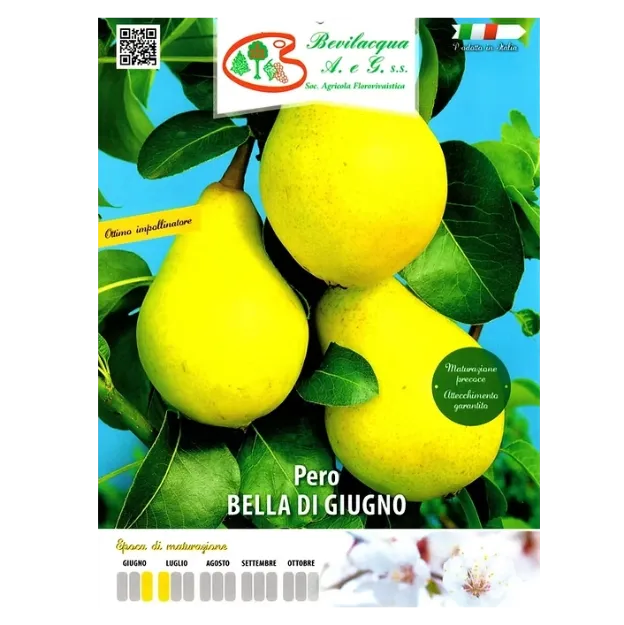 Etiketa Sadika hruške  BELLA DI GIUGNO