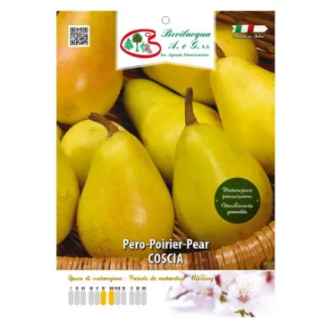 Sadika hruške COSCIA Etiketa Sadika hruške COSCIA