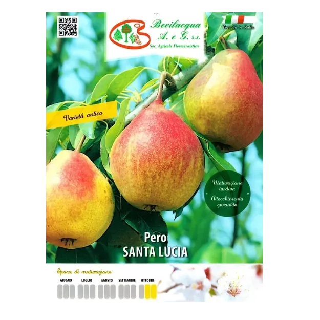 Etiketa Sadika hruške Santa Lucia