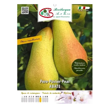 Sadika hruške ABATE Etiketa Sadika hruške ABATE