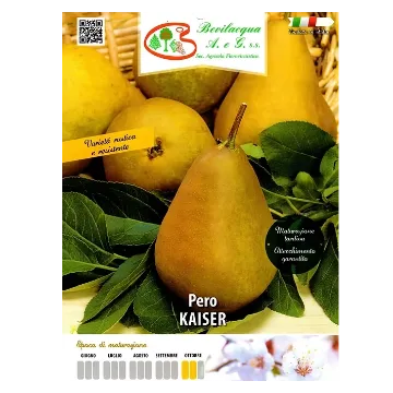 Sadika hruške Kaiser Etiketa Sadika hruške Kaiser