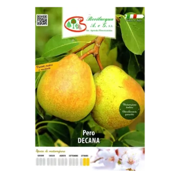 Sadika hruške DecanaSadika hruške Decana Etiketa Sadika hruške Decana