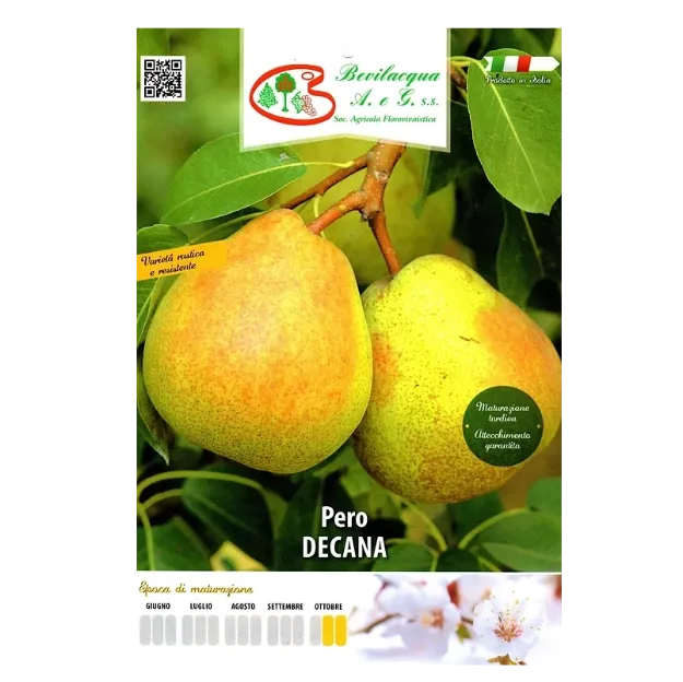 Etiketa Sadika hruške Decana
