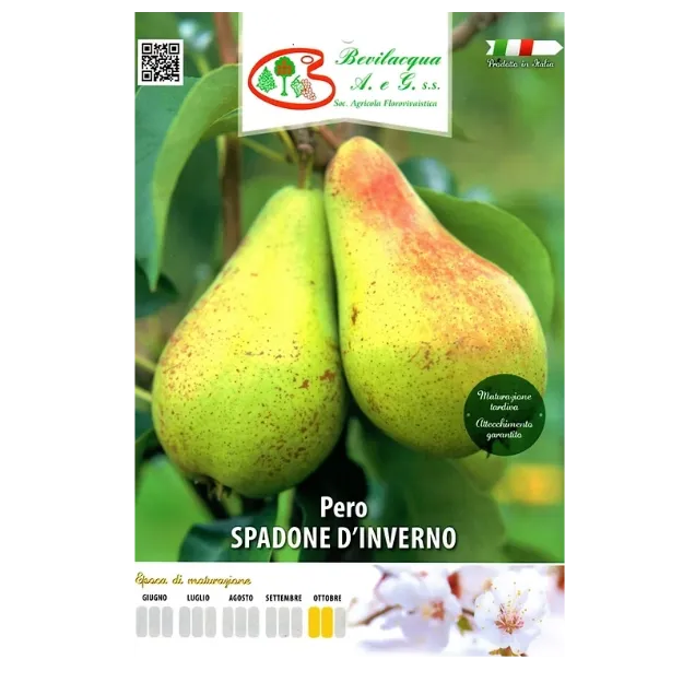 Etiketa Sadika hruške SPADONE D'INVERNO