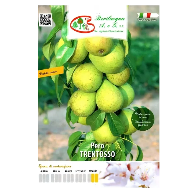 eTIKETA Sadika hruške Trentosso