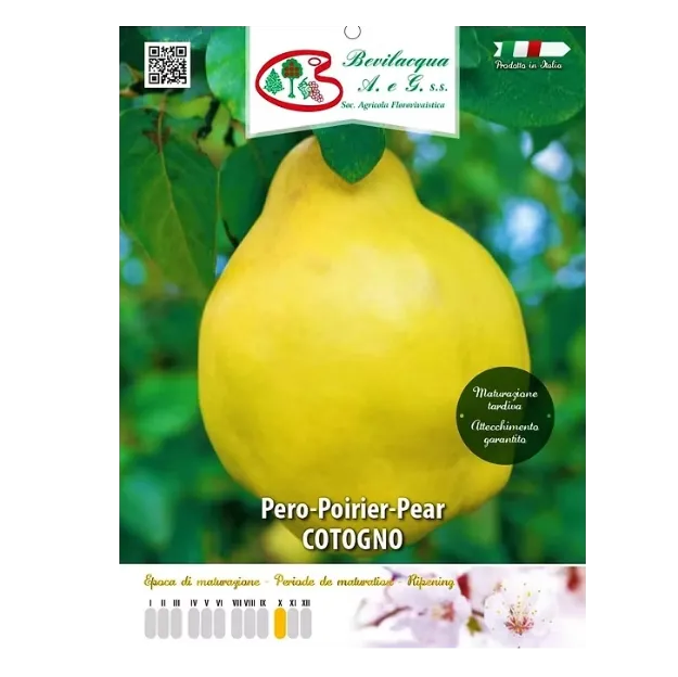 Etiketa Sadika hruške Pero Cotogno