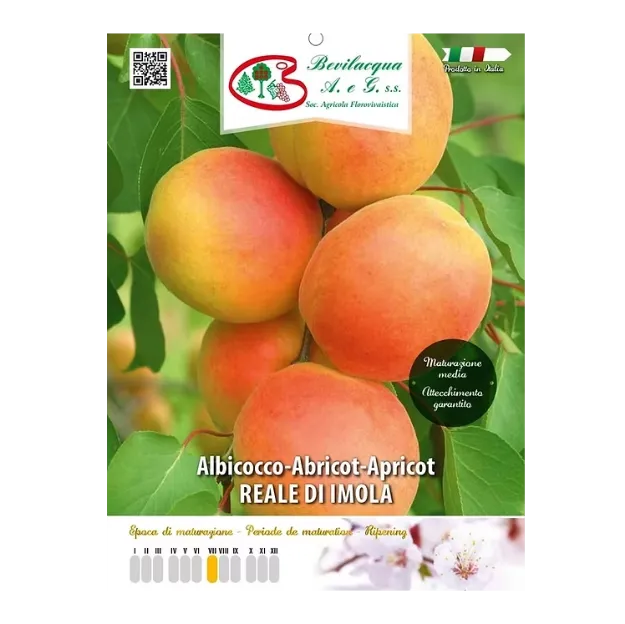 Etiketa Sadika  marelice Reale di Imola