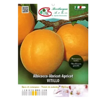 Sadika  marelice VITILLO Etiketa Sadika  marelice VITILLO