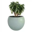 Okrogel keramičen cvetlični lonec Lisa v mint barvi in z glos finišem in rastlino