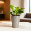 Okrasen keramičen lonec Linda- srebrno-bež velik z rastlino umeščen v prostor