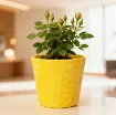 Okrasen keramičen lonec Linda - rumena sijaj majhen z mini vrtnico umeščen v prostor