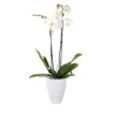 Okrasni lonček Carly - keramika bela mat z belo orhidejo