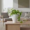 Okrasni lonček Carly - keramika bela mat z rastlino umeščen v prostor