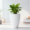 Okrasni lonček Carly - keramika bela sijaj z zeleno rastlino umeščen v prostor