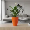Okrasni lonček Carly - keramika -oranžna z rastlino umeščen v prosto