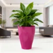 Okrasni lonček Carly - keramika roza sijaj z rastlino umeščen v prostor