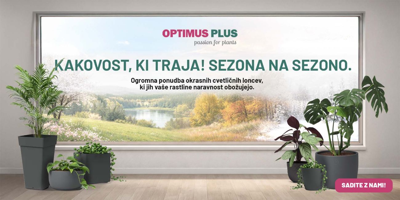 Ponudba okrasnih cvetlični loncev