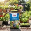 Altea Terriccio Universale 70L - kakovostno univerzalna zemlja - embalažna vreča umeščena v vrt z primeri uporabe