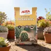 ALTEA TERRICCIO PIANTE GRASSE 20 L - substrat za kaktuse - embalažna vreča med kaktusi in sukulentami v loncih na soncu