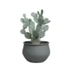 Cvetlična skleda ARTEMIS 21 cm - antracit s sobno rastlino
