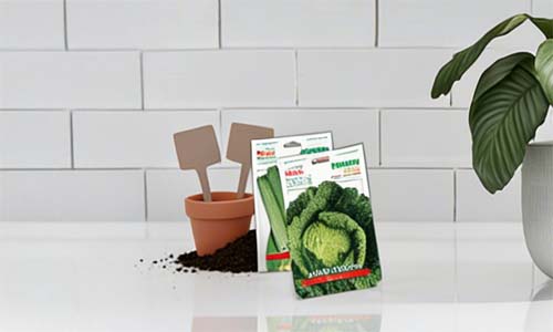 Slika za kategorijo Semena