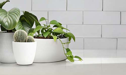 Slika za kategorijo Okrasni cvetlični lonci