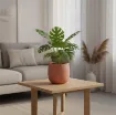 Okrasni cvetlični lonec Aura - opečna s sobno rastlino umeščen v prostor