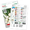 Čebula Barletta (Allium cepa L.) vrečka semen in navodila za setev