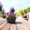 Cvetlična skleda CAPRI 25 cm z cvetočo rastlino na terasi