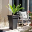 Visok Okrasni Cvetlični lonec CAPRI HIGH, črna z palmo zunaj na terasi