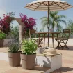 Okrasni cvetlični lonec CAPRI WIDE, bež z rastlino na terasi